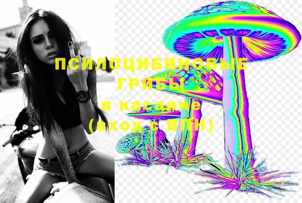 таблы Осташков
