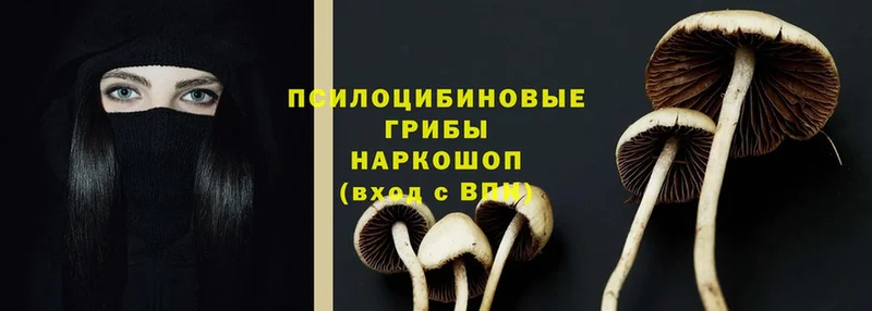 Галлюциногенные грибы Psilocybine cubensis  мега сайт  маркетплейс телеграм  Кропоткин 