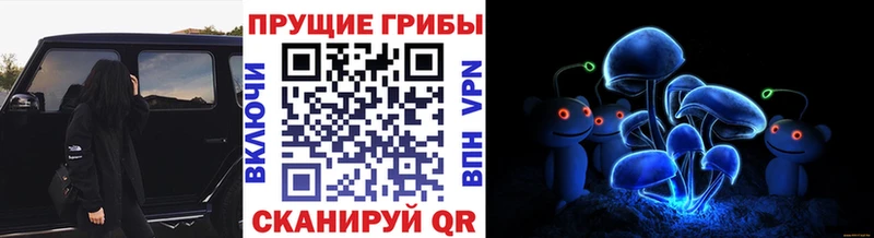 ссылка на мегу ССЫЛКА  где можно купить   Кропоткин  Галлюциногенные грибы мухоморы 